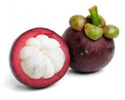 mangosteen