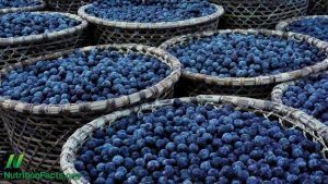 berries boost immune system