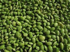 superfoods beans