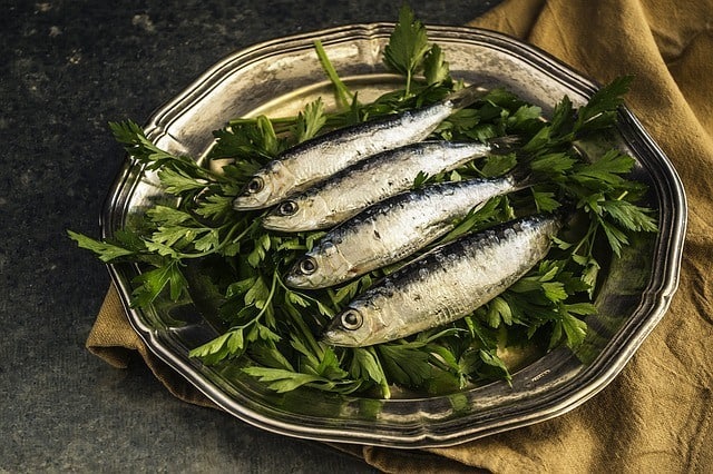 Omega 3 Sources: Foods You Can Add In Your Diet