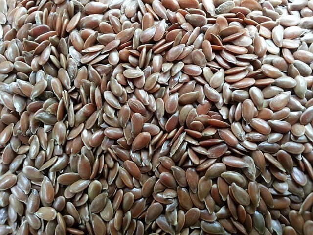 Seeds produce essential fatty acids