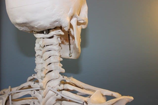 calcium in bones