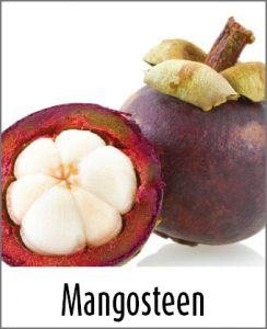 Mangosteen-Rejuveniix