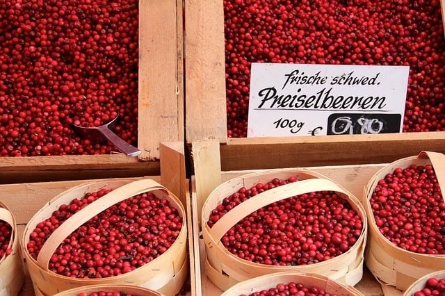 minerals in cranberries