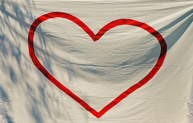 Heart Facts: How Well Do You Know The Heart?