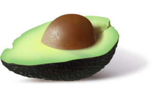 avocado