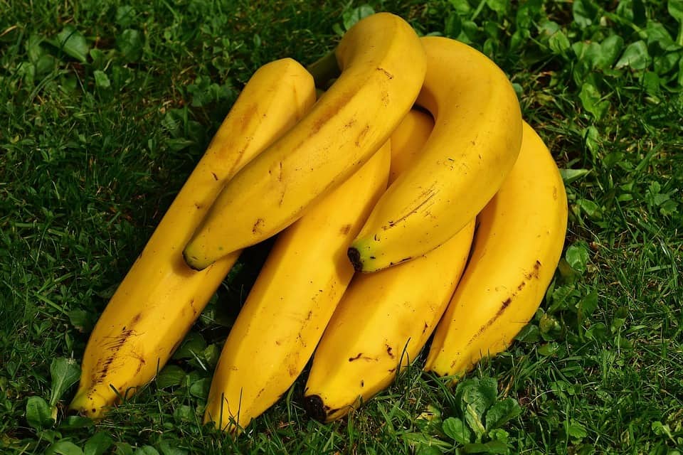 Banana: Nutrients from the Third Most Popular Fruit