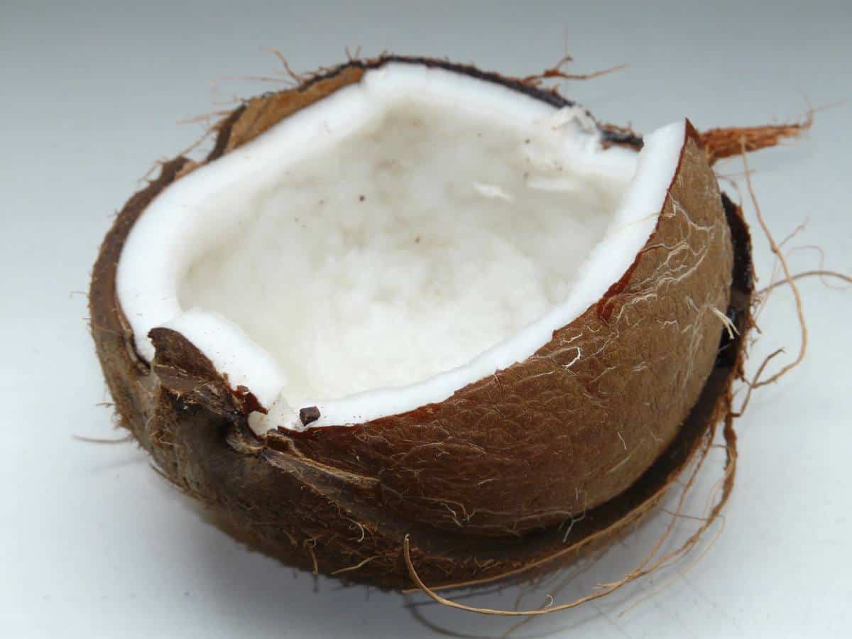 The 'Silky-smooth' Benefits of Coconut Oil for the Skin