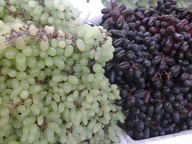 The Greatness of 'Grape Seed'