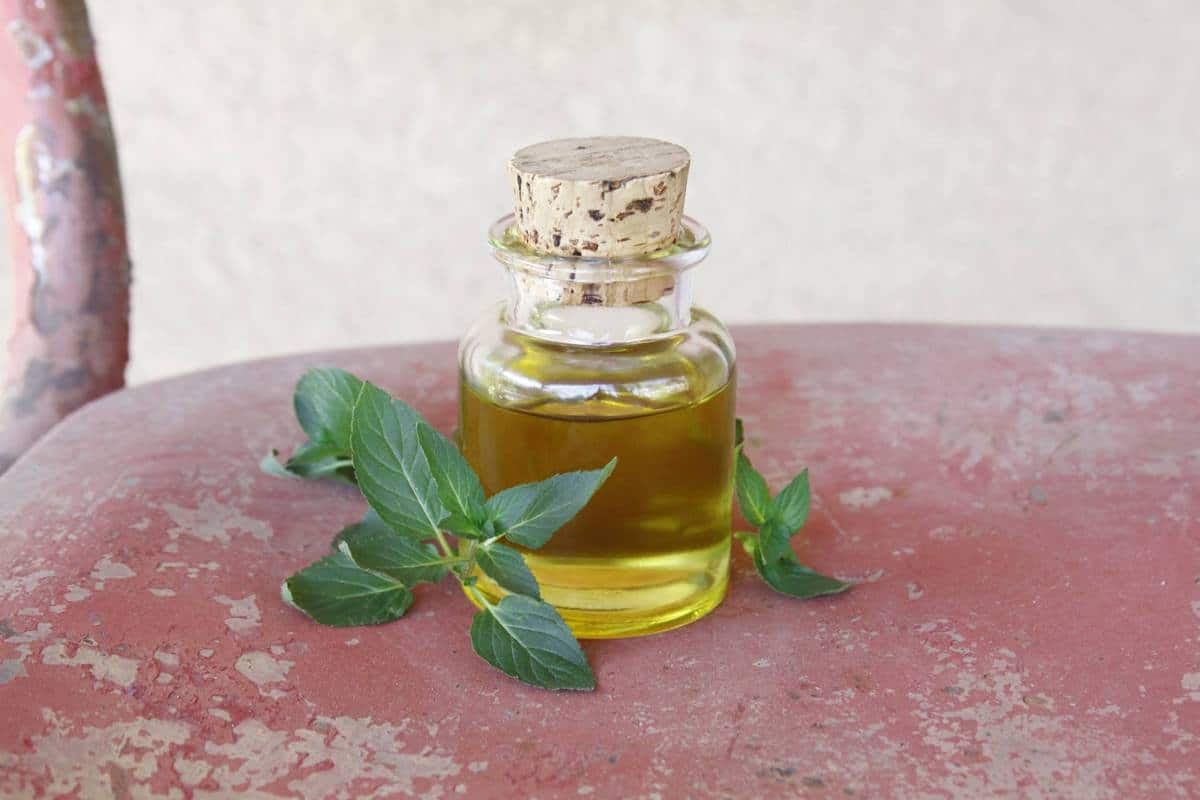 Weight Loss through Fascinating Essential Oils