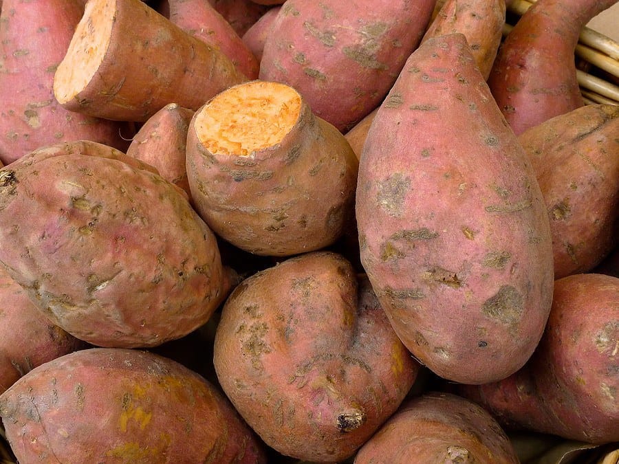 Sweet Potato Nutrition: Facts and Health Benefits