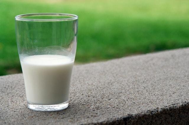 Best Sources of Calcium: What Are They?