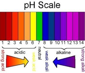 ph level