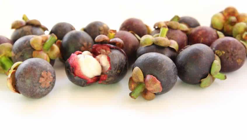 Mangosteen is a Powerful Ingredient to Invigorate You!