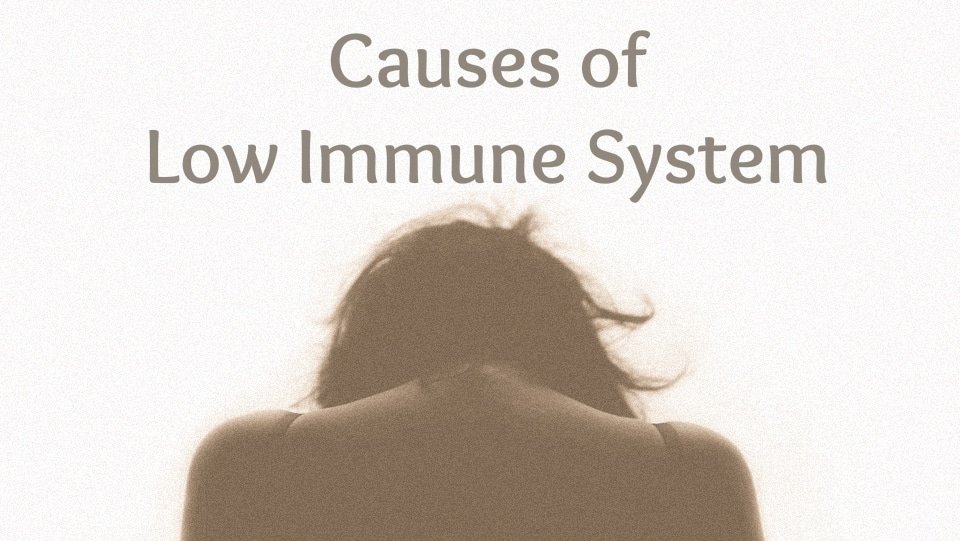 low immune system - moa