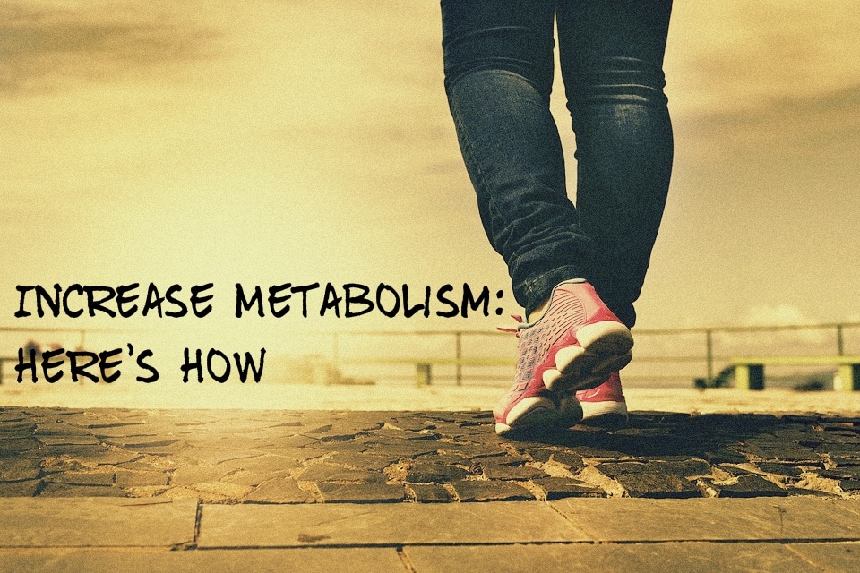 MOA - increase metabolism