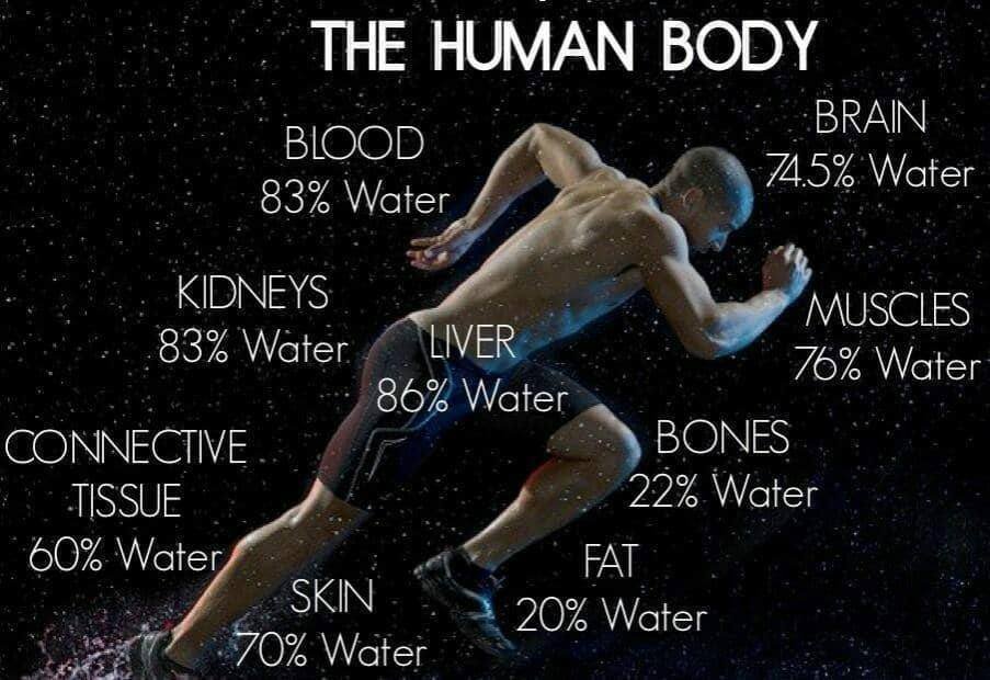 Your-Body-is-Water