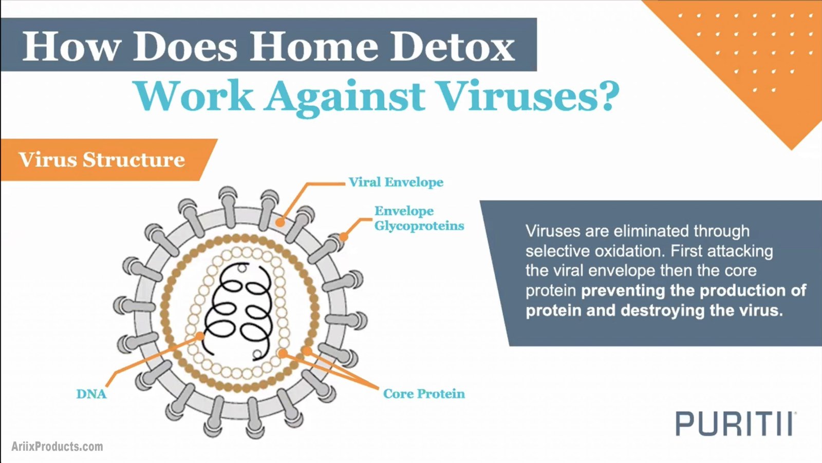 07 How Does Home Detox Work 07 How Does Home Detox Work