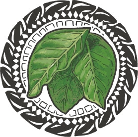 tahitian noni leaf